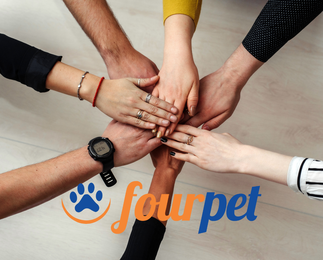 Como Aumentar A Produtividade Da Equipe De Seu Pet Shop Blog Da